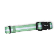 PupClub Collar - Pastel Mint