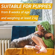 FRONTPRO® Chewable Tablets Flea & Tick Treatment for Dogs (3 Months Protection)