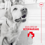 ROYAL CANIN® Digestion Soft Chews Supplements for Dogs