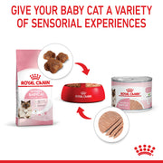 ROYAL CANIN® Feline Health Nutrition Mother and Babycat Cat Mousse