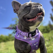 Daydreams and Unicorns Collar