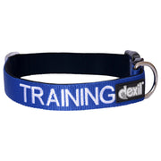 Dexil Training Snap Collar