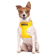 Dexil Nervous Vest Harness