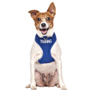 Dexil Training Vest Harness