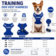 Dexil Training Vest Harness