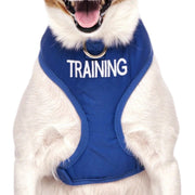 Dexil Training Vest Harness