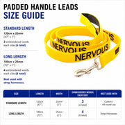 Dexil Nervous Lead