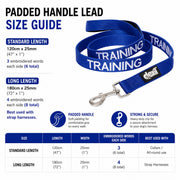 Dexil Training Lead