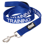 Dexil Training Lead