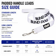 Dexil Blind Dog Lead