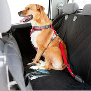 Red Dingo Padded Red Dog Harness