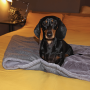 Ralph & Co Balmoral Luxury Washable Herringbone Dog Blanket