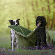 Ralph & Co Richmond Luxury Washable Green Dog Blanket