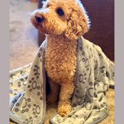 PupClub Dog Blanket - Grey Paws