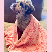 PupClub Dog Blanket - Pink Paws
