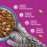 Whiskas 1+ Complete Tuna Dry Food