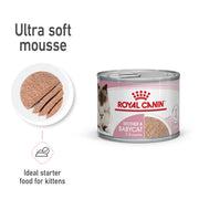 ROYAL CANIN® Feline Health Nutrition Mother and Babycat Cat Mousse