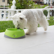 LickiMat OH Bowl™ Green for Dogs and Cats