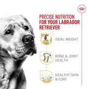 ROYAL CANIN® Labrador Retriever Adult Dry Dog Food