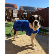 Easidri Cooling Dog Coat