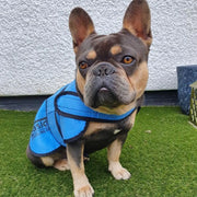Easidri Cooling Dog Coat