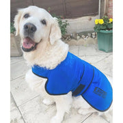 Easidri Cooling Dog Coat