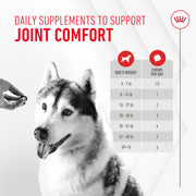 ROYAL CANIN® Joint and Ageing Soft Chews Supplements for Dogs