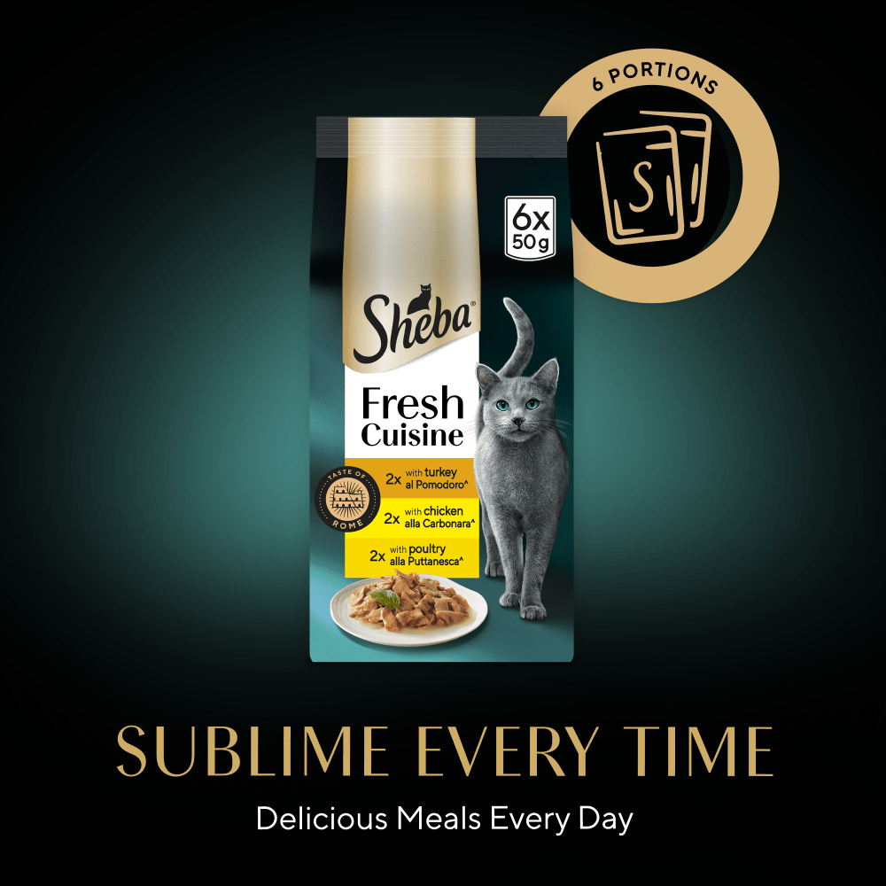 Sheba Fresh Cuisine Taste of Rome Turkey, Chicken & Poultry in Gravy