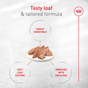 ROYAL CANIN® French Bulldog Adult Wet Dog Food
