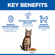 Hill's Science Plan Adult Salmon Dry Cat Food