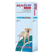 MSD Bravecto TriUNO Chewable Tablets for Dogs