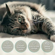 Protexin Veterinary Pro-Kolin Advanced Gut Health Paste for Cats