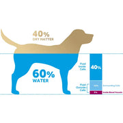 Oralade Advanced GI+ Oral Rehydration Support Liquid for Dogs and Cats