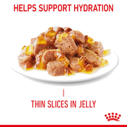 ROYAL CANIN® Light Weight Care Adult Wet Cat Food in Jelly