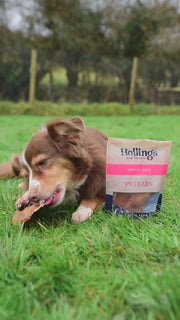 Hollings Pig Ears