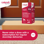 Elanco Galliprant Tablets for Dogs