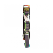Go Walk LED Reflective Rainbow Collar