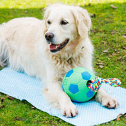 Petface Cooling Mat