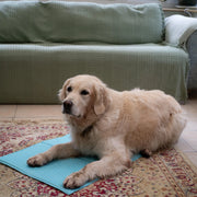 Petface Cooling Mat