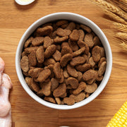 Dr John Gold Adult Chicken with Vegetables Dog Dry Food