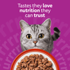 Whiskas 1+ Meaty Meals in Jelly