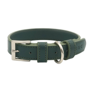 Ralph & Co Green Leather Dog Collar