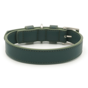 Ralph & Co Green Leather Dog Collar