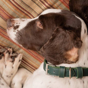 Ralph & Co Green Leather Dog Collar