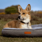 Ralph & Co Balmoral Luxury Donut Bed