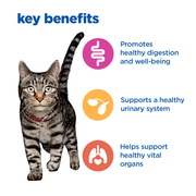 Hill's Vet Essentials Multi-Benefit Mature Adult 7+ Cat 12 x 85g