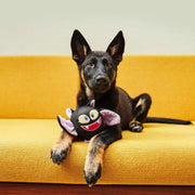 Halloween Bat Plush Toy