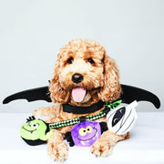 Halloween Tug-of-War Plush Rope Toy