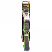 Go Walk LED Reflective Rainbow Collar