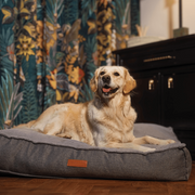 Ralph & Co Balmoral Luxury Pillow Bed